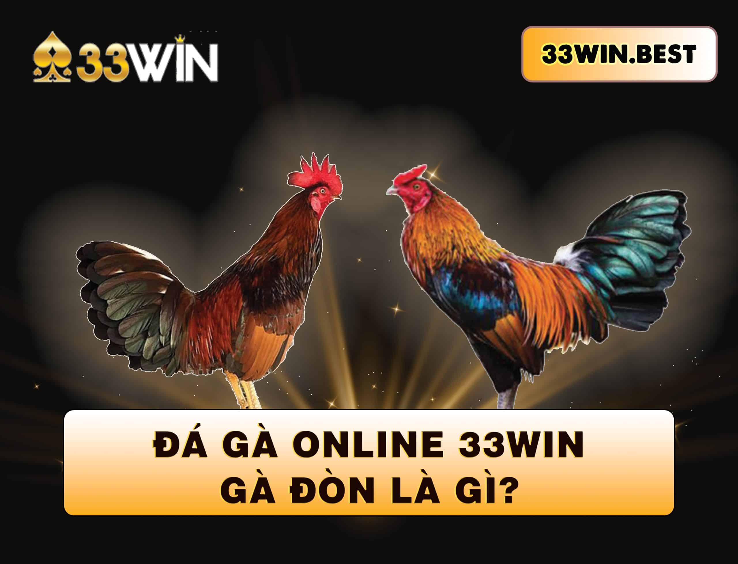 Tìm hiểu về giống gà đòn và đá gà online tại nhà cái 33Win